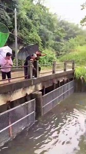 Must-See Amazing Catches of Sea Creatures