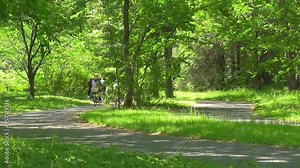 新緑のサイクリングコース