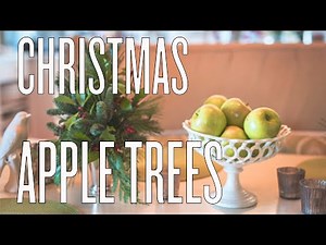 Christmas Apple Trees