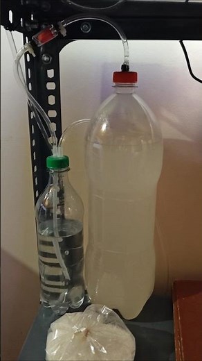 How to set up CO2 system for aquarium #Discussion #AquariumDiscussion #CO2System #spellfish