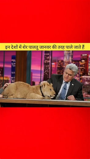 These Countries Allow Lions as Pets 😱🦁
