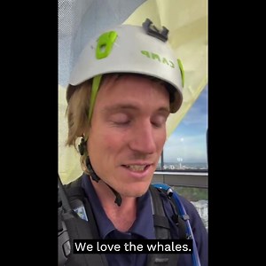 1.6K views · 59 reactions | Woodside wants to launch the most polluting fossil fuel project in Australia  Together, we can stop it! We just got a new Australia-Pacific vessel ⛵to take the fight to the open ocean! Join us in standing against Woodside and sign the petition now  | Greenpeace Australia Pacific | Facebook