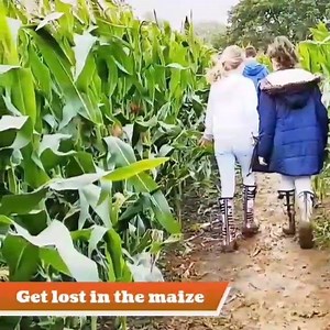 We are OPEN! Book your tickets for today and save £2pp using code ‘MAZE2’ https://www.fossewaygardencentre.co.uk/product/roman-maize-maze/ Join the fun here at Fosseway, let the children loose in the maze to discover hidden stamps! Once complete, head over to our picnic area for bouncy castle fun and FootGolf for the older ones! | Fosseway Garden Centre