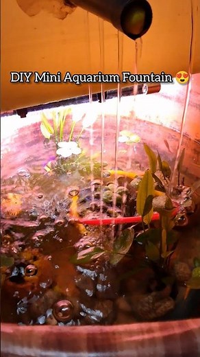 DIY Aquarium Waterfall Setup at Home 🐠💦 #aquascape #shorts