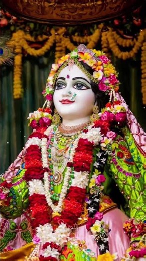 Radhamadhav darshan at ISKCON Mayapur #ytshorts#radhamadhav#mayapuriskcon#mayapur#shyam#RadhaRani