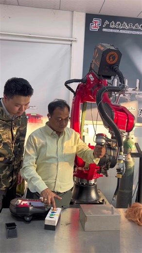 Exploring Advanced Robot Sorting Technologies