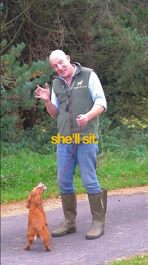 Whizzy being Whizzy 🫠