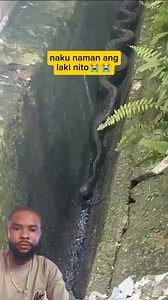 #python #fyp #sharing #share | AB Manuel Empire