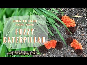 Fuzzy Caterpillar Song & Activity