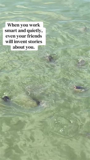 Catfish Farming Techniques in Uganda: Work Smart