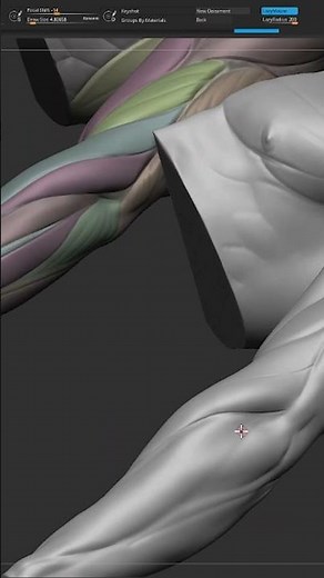 Straight arm (m-005) - Digital sculpt PART 1. #3dsculpt #digitalsculpt #digitalart #characterdesign