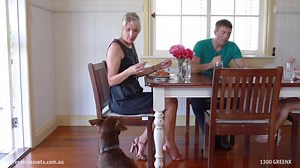 12K views · 31 reactions | What are the main causes of those embarrassing smells? There are a number of factors that can affect your pet’s sensitive digestive system including eating too quickly, a sudden change in their diet, or eating table scraps, to name a few. Watch our video to learn when you should talk to your vet about your pet’s flatulence problem. | Greencross Vets | Facebook