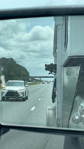 Say cheeeeese 😁 (Via @karenm1972) | Slap Dicks Cattle Co.