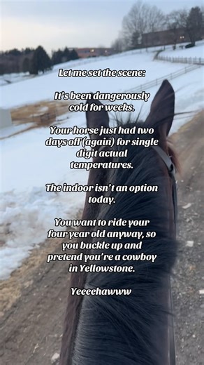 The Extra Equestrian on Instagram: "…and I lived to tell the tale 🙃 #trailride #yellowstone #yeehaw #desperate #badchoices"
