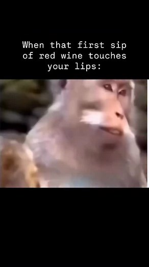 978 reactions · 202 shares | That first sip of red wine hits my lips...