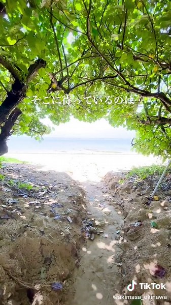 まるで天国のような絶景ビーチ🏝#沖縄#沖縄移住#沖縄旅行#沖縄生活#絶景スポット#穴場スポット#ビーチ#天国