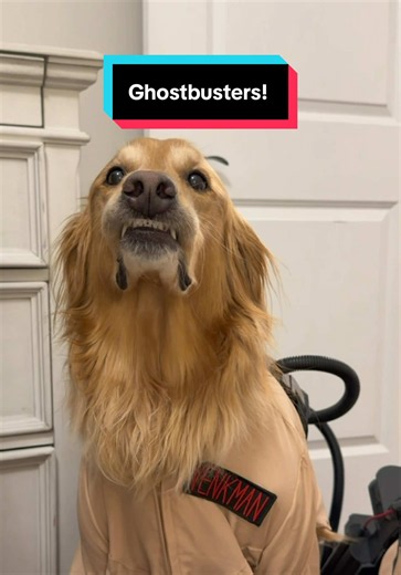 Ghostbusters! Funny story: it wasn't a monster