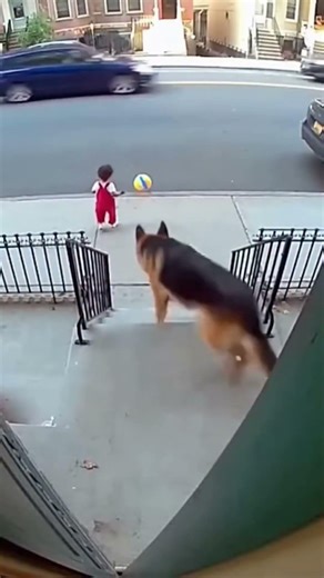 A me me piace a pizza