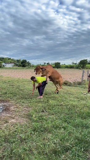 When you're just trying to tie your shoe and your calf decides it's playtime. Wait, I wasn't done yet! 🤣 ​#FarmLife #Unexpected #CalfPlaytime #RodeoPractice #FunnyAnimals #CowAttack #Surprise #RuralLiving #DontMessWithTheCalf | man vs food