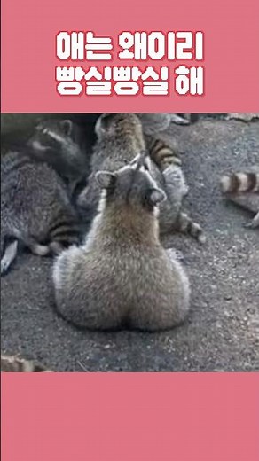Why is it so chubby lol #Virtual #VTuber #Humor