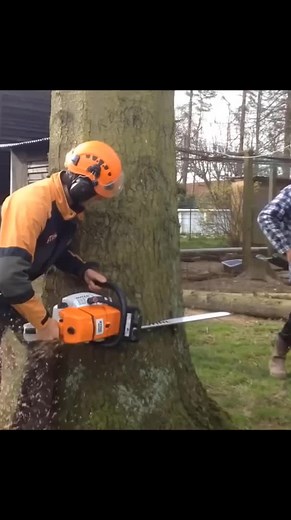 Hand Cutting Logging Techniques in Forestry