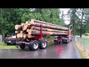 Nice Export Timber Log Truck hauling to nw lumber Mill Logging and Logs Pacific Northwest Washington