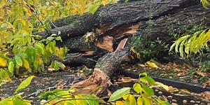 First Alert Weather Day: Heavy rain and gusty winds expected