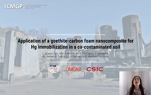 73 - Application of a goethite-carbon foam nanocomposite for Hg immobilization in a co-contaminated soil