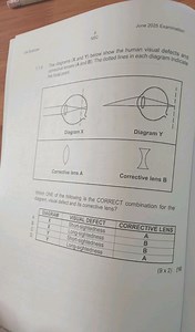 The diagrams (X and Y) below show the human visual defects and ... | Filo