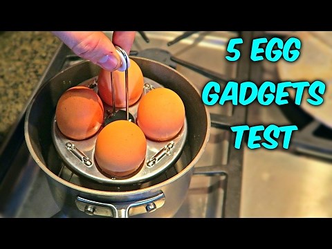 5 Egg Gadgets put to the Test