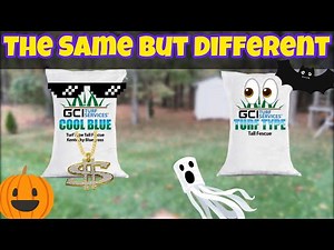 Kentucky Bluegrass vs Lateral Spreading Fescue