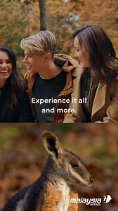 Escape, explore, enjoy—where will you experience it all? Plan your perfect holiday with our packages. | Malaysia Airlines