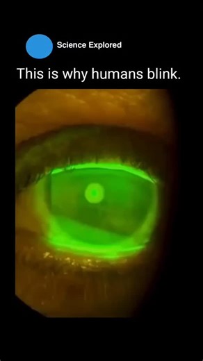 QUANTUMBYTES on Instagram: "Every time you blink, a thin protective layer called the tear film spreads across your eye. This layer keeps the surface hydrated, clear, and protected. The moment you stop blinking, that protection begins to break down as the tear film starts to evaporate. In healthy eyes, this can happen within just a few seconds. When you focus intensely on screens, your blink rate drops significantly, leaving the tear film exposed for longer. As it evaporates, your eyes dry out, v