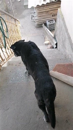 #cat #video #food #musicproducer #art