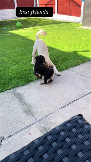 Imogen Olivia on TikTok