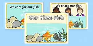 Our Class Fish Display Posters