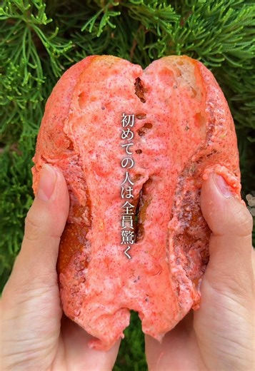 超高加水パンの魅力、品川のパン屋探訪