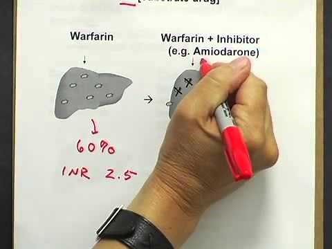 Drug Interactions #1