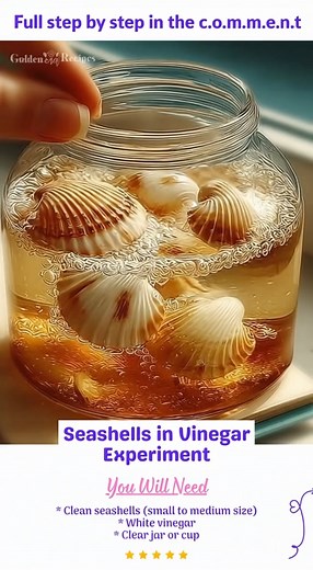 Seashells in Vinegar Experiment Ingredients: * Clean seashells (small to medium size) * White vinegar * Clear jar or cup Directions: Place the seashells in a clear jar and gently pour enough vinegar to fully cover them. Within minutes, you’ll notice tiny bubbles forming around each shell — that’s the acid reacting with the calcium carbonate! Let the jar sit for one to two days, observing how the shells slowly soften and even lose their shine. Once the fizzing stops, carefully remove a shell and 