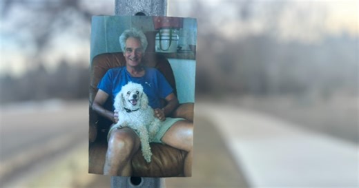 'It hurts': Boulder dog owner awaiting answers after 15-year-old miniature poodle killed by another dog