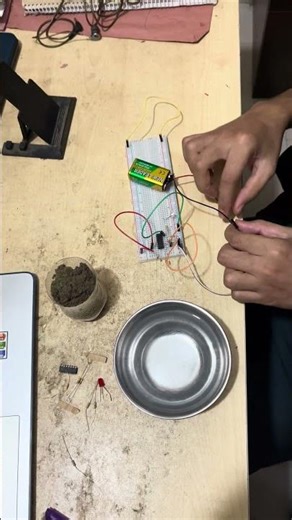 Electronic Soil Moisture Sensor to Conserve Water