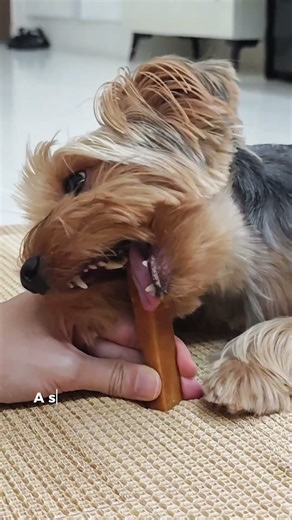 Dollar-cost averaging explained