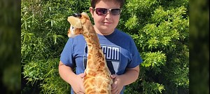 Rhode Island Novelty Standing Plush Giraffe 25 Inch Tall One Per Order