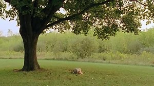 Another.Happy.Day.2011.TR.BRRip.XviD.tt1719071