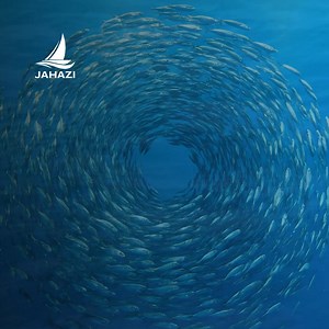 The best way to combat the forces behind illegal fishing in the South West Indian Ocean is to do it as one collective voice. Stay tuned as we share updates from the Blue Voices Summit 2026 (Jan 26-28). | Ascending Africa