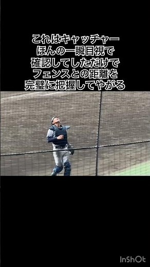 いつも甲子園で練習してるわけないのに #高校野球 #甲子園 #高川学園 #天理