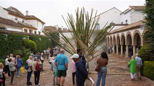 Las ponencias marcan el ritmo de una jornada de calma y reflexión en Flora