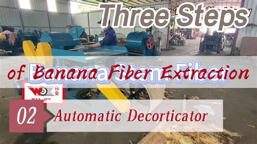 Extracting Banana Stem Fiber in 3 Easy Steps