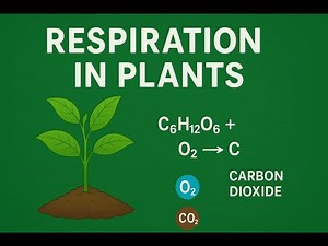 Respiration in Plants (Introduction)