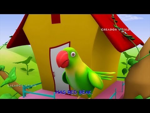 Parrot Rhymes | Alphabet Song 3d nursery rhymes for kids | P for parrot songs
